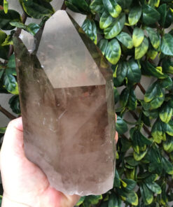 CATEGORY Large Smoky Quartz Point with smaller crystal attached