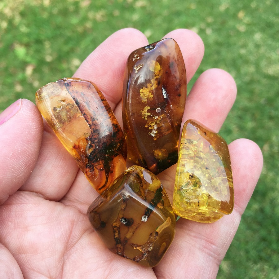 POST amber specimen