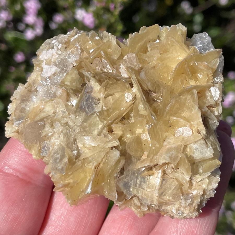 Muscovite Cluster - Delightful! - The Rock Crystal Shop
