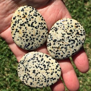dalmatian stone thumb stones