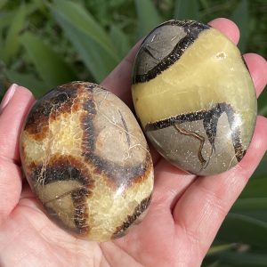 Septarian Calcite Nodule Palm Stones