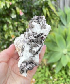 buy Cleavelandite Cluster With Muscovite Blades