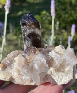 re-healed Smoky Quartz Cluster from Malawi