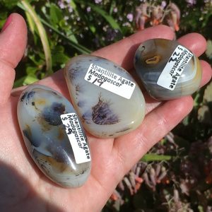 buy Shantilite Agate Palm Stones or Dendritic Agate (left and middle) or Banded Agate