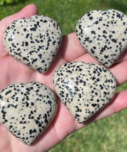 dalmatian stone hearts