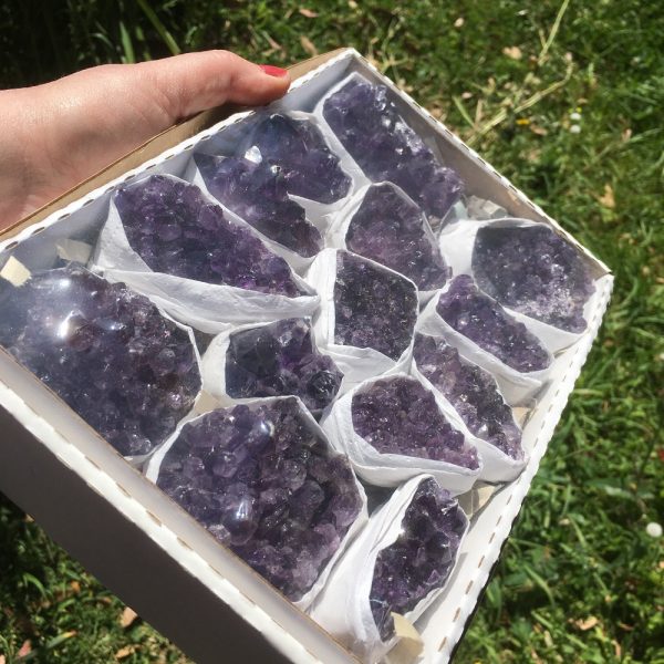 buy tray of amethyst clusters from Brazil in Australia
