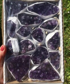 buy tray of amethyst clusters from Brazil