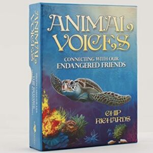animal voices inspiration cards for children