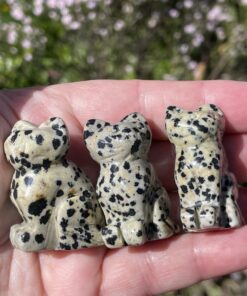 Dalmatian stone cats