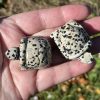 crystal Tortoise in Dalmatian Stone