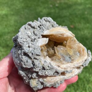 Fossilised Clam Shell with Calcite