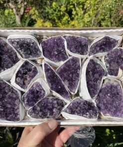 Buy Box of High Grade Amethyst Clusters from Brazil