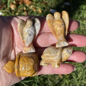 Crazy Lace Agate Tortoise and Angel from Mexico