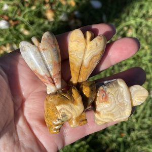 Crazy Lace Agate Animals