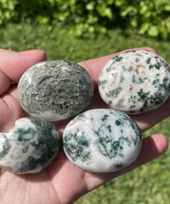 moss and tree agate palm stones