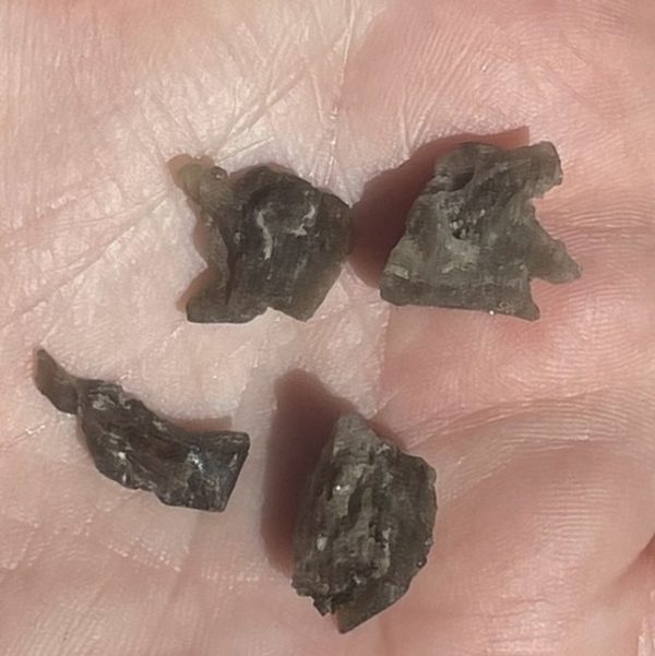 Darwinite tektite or Australian moldavite
