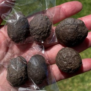 shaman stones from USA