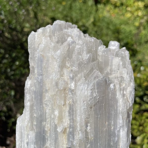 medium selenite crystals from Morocco