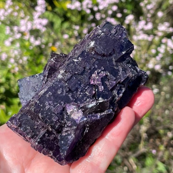 Cubic Fluorite Cluster from Mexico