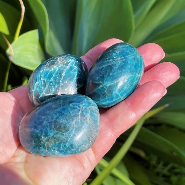 blue Apatite Palm Stone