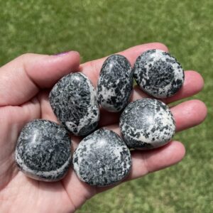 orbicular granite tumbles