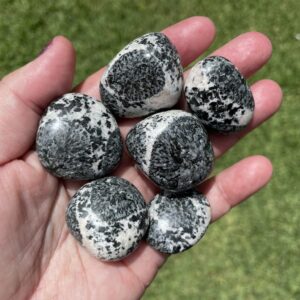polished orbicular granite crystals