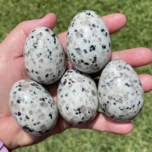 Kiwi Stone egg