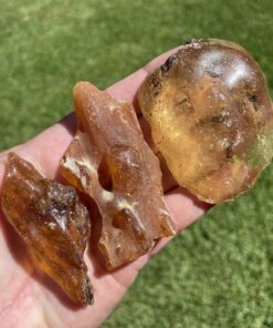 amber fossilised tree sap crystals