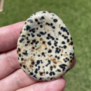 Dalmatian stone thumb stone