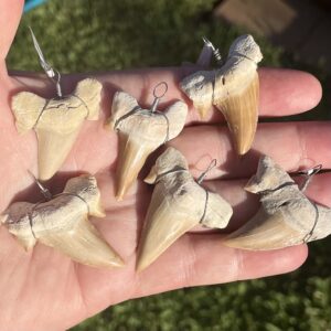 shark tooth pendant